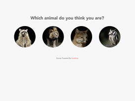 Choix de réponses où des images d'animaux sont placées dans des cercles en guise d'options