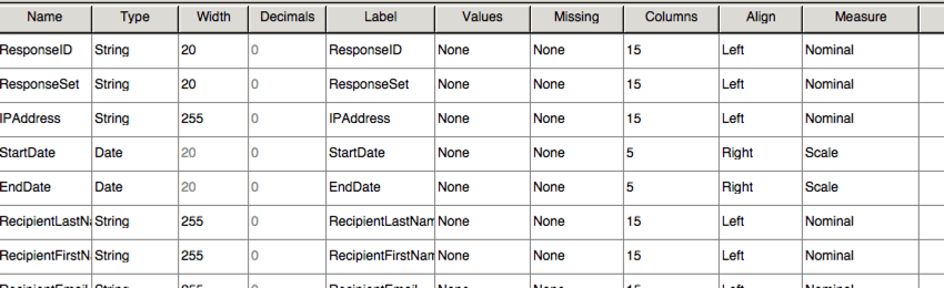 SPSS file set to Variable View