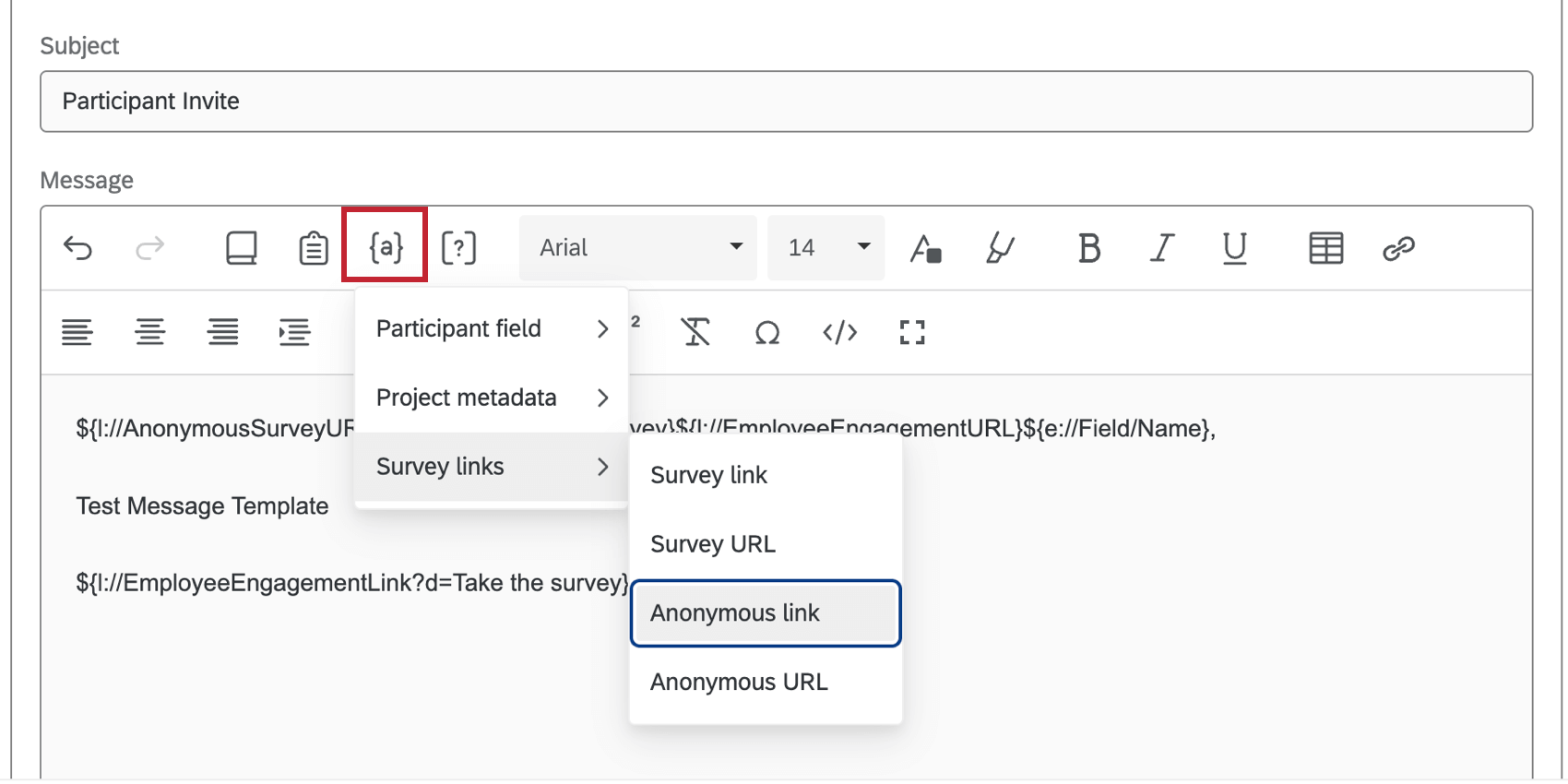 Lifecycle messages body with the piped text icon highlighted