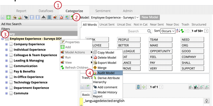 Modello di verifica evidenziato dal menu Azioni del modello
