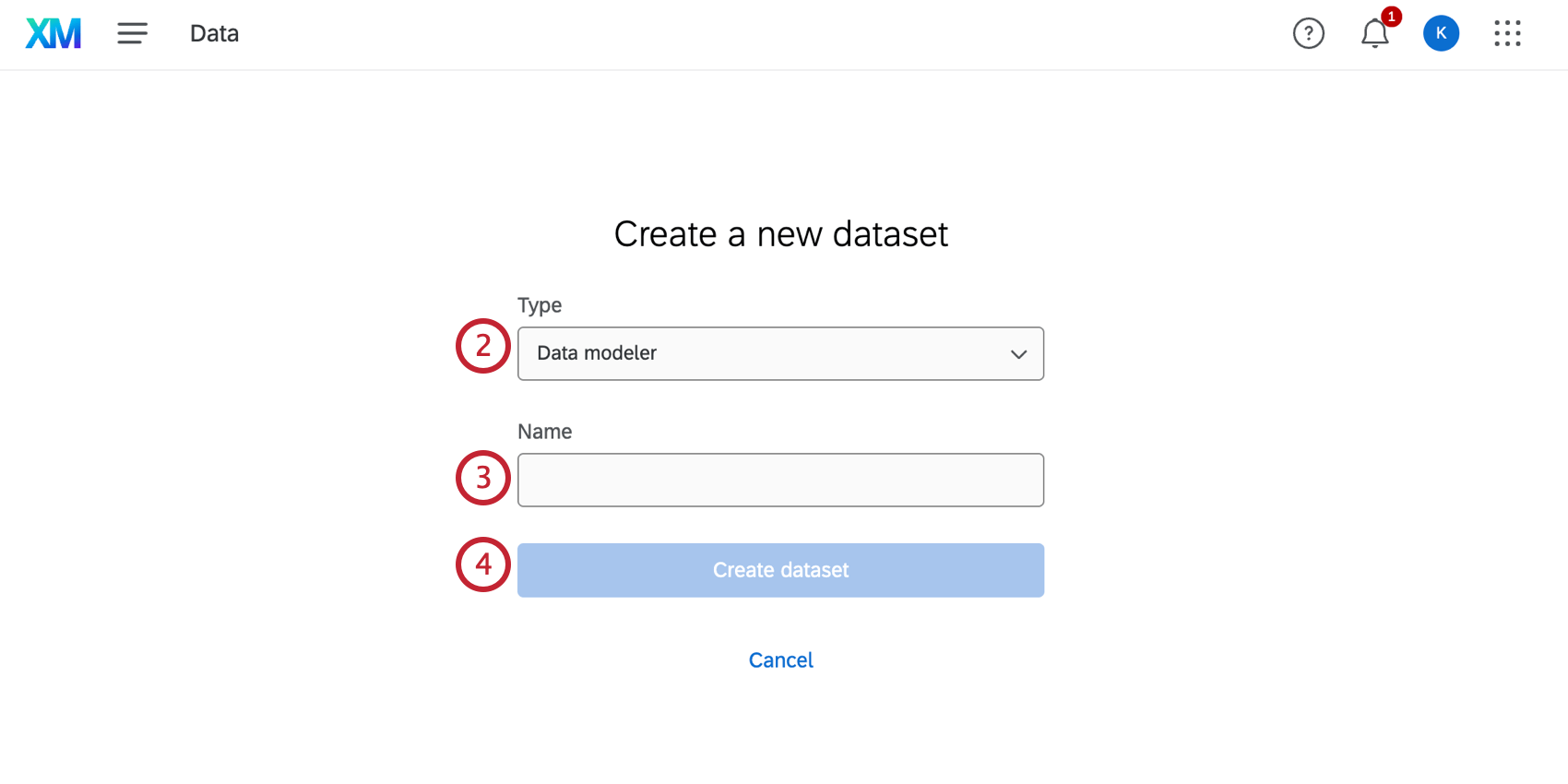 Create a dataset page, shows data model selected under type