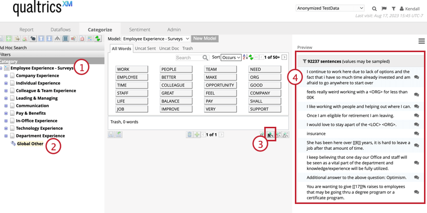 Resalta los datos no categorizados que se muestran en el panel de vista previa