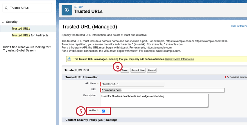Active checkbox in trusted URL settings