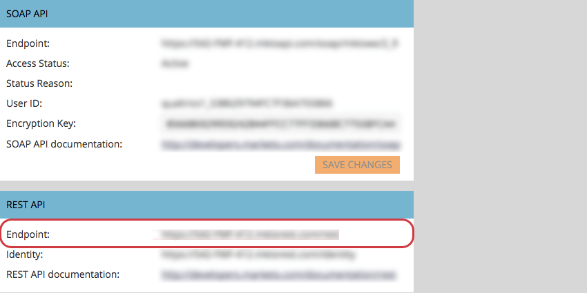Endpunkt unter Rest API finden