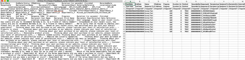 Data export opened in a plain text editor and in a spreadsheet