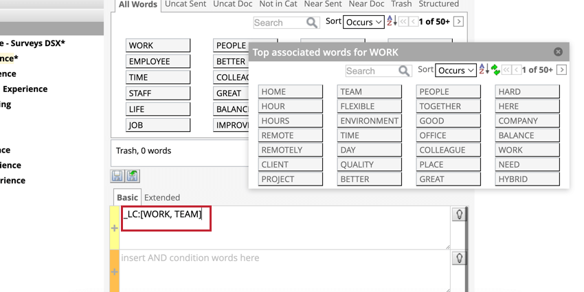 Highlights the syntax in the rule lane