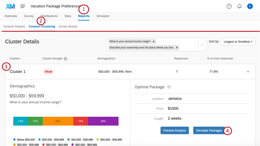 the conjoint clustering tab for simulating packages
