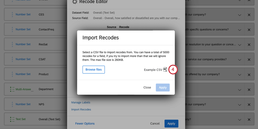 image of the "Example CSV" button in the recode editor