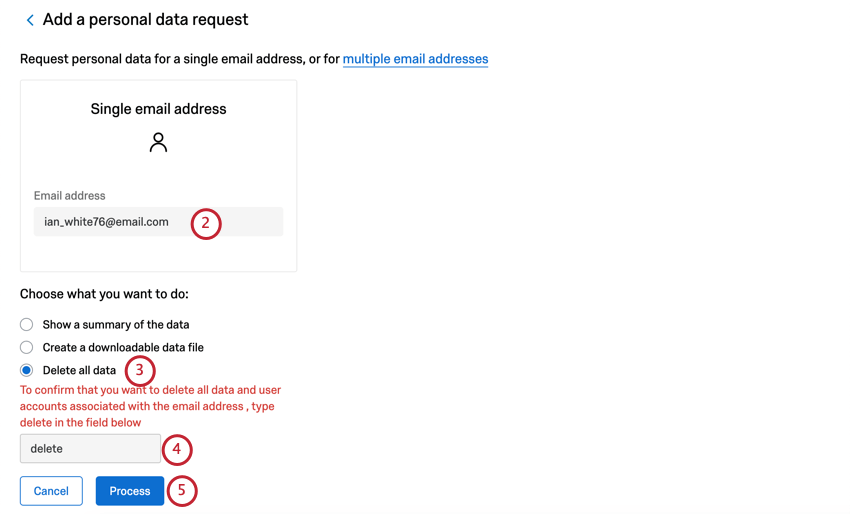 Großes Feld, in das Sie eine E-Mail-Adresse eingeben können. Darunter, Multiple Choice, die erste Option zeigt eine Zusammenfassung an. Dann wird ein Feld angezeigt, in dem Sie gefragt werden, ob Sie löschen möchten. Dann zwei Schaltflächen. Die blaue Verarbeiten-Schaltfläche ist die zweite.