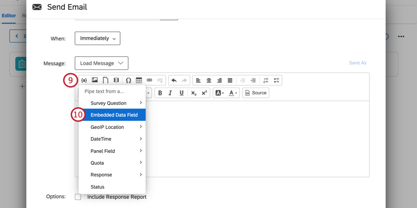 Klicken Sie auf das Symbol dynamischer Text im Nachrichteneditor, und wählen Sie eingebettete Daten aus.
