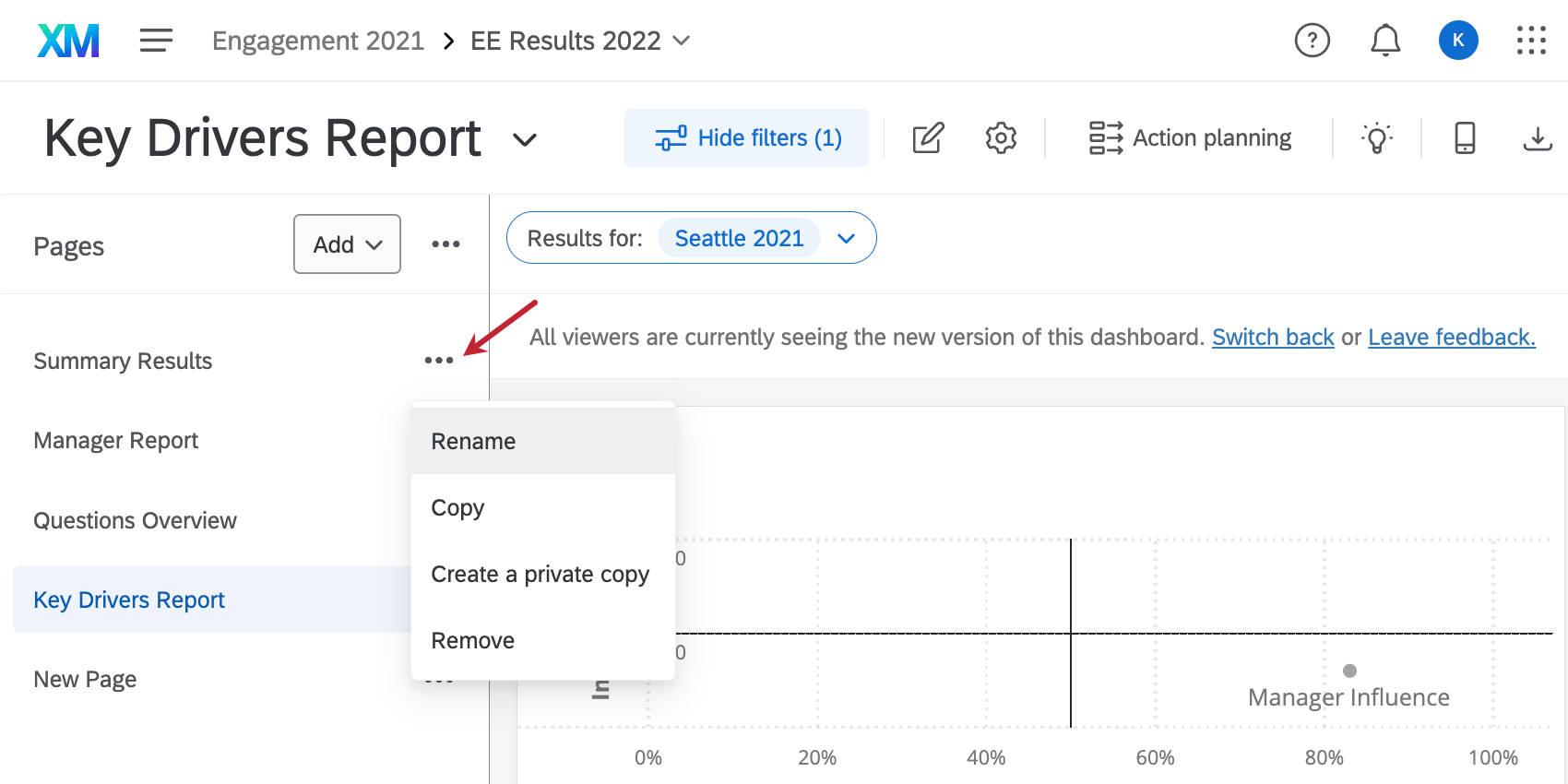image of the page options when clicking Page Options, three dots to right of a dashboard page