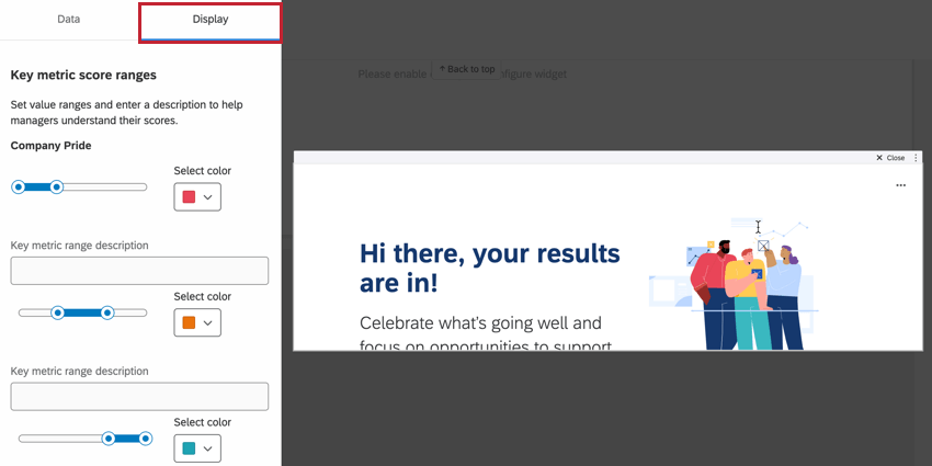 the display section of widget options