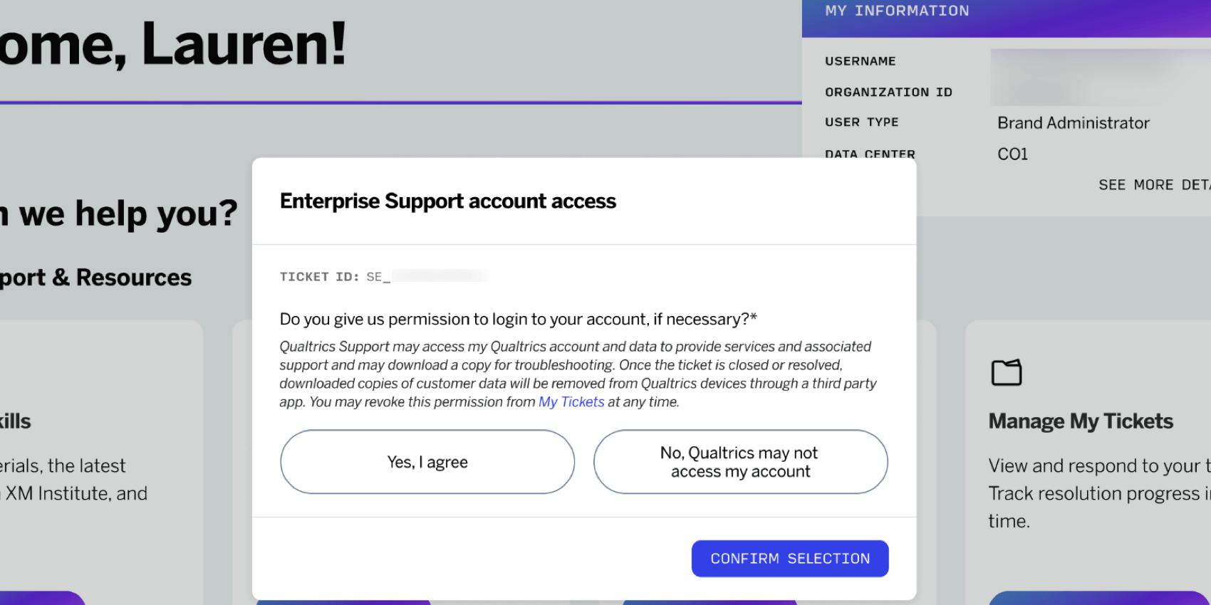 allowing account access on an enterprise support ticket