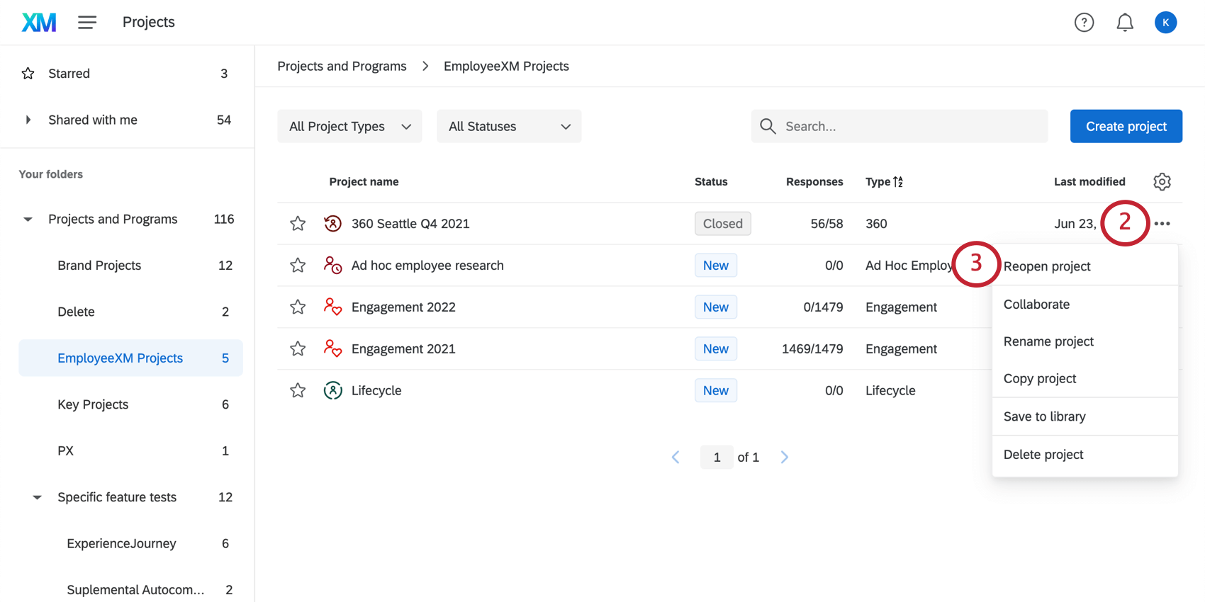 Using the dropdown menu next to the project to Reopen the project