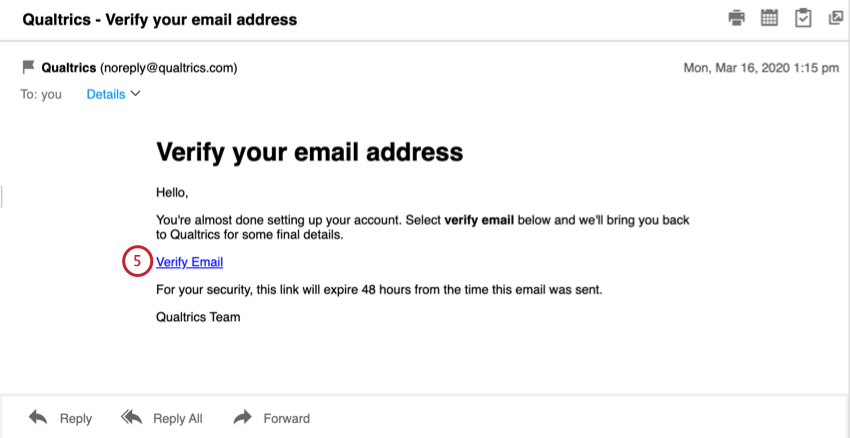 Screenshot of an email - verify email in center of message