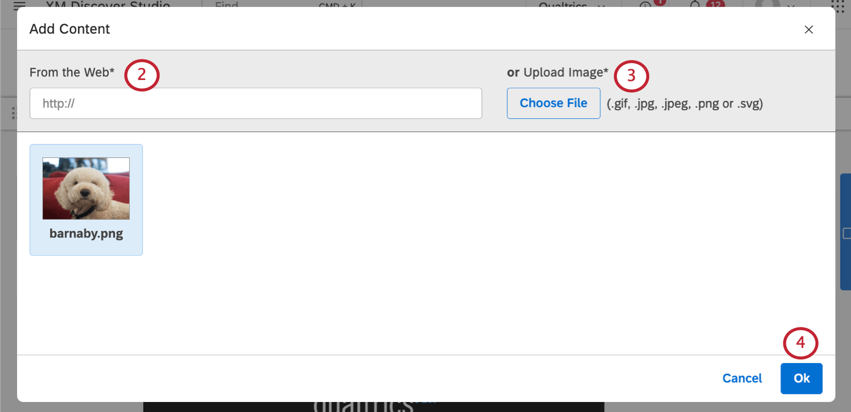 New window where you upload a photo
