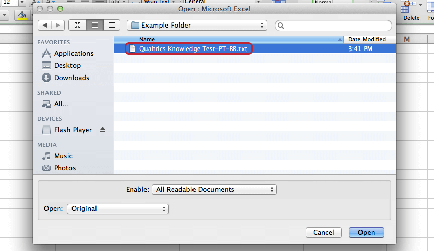 Opening a txt excel file