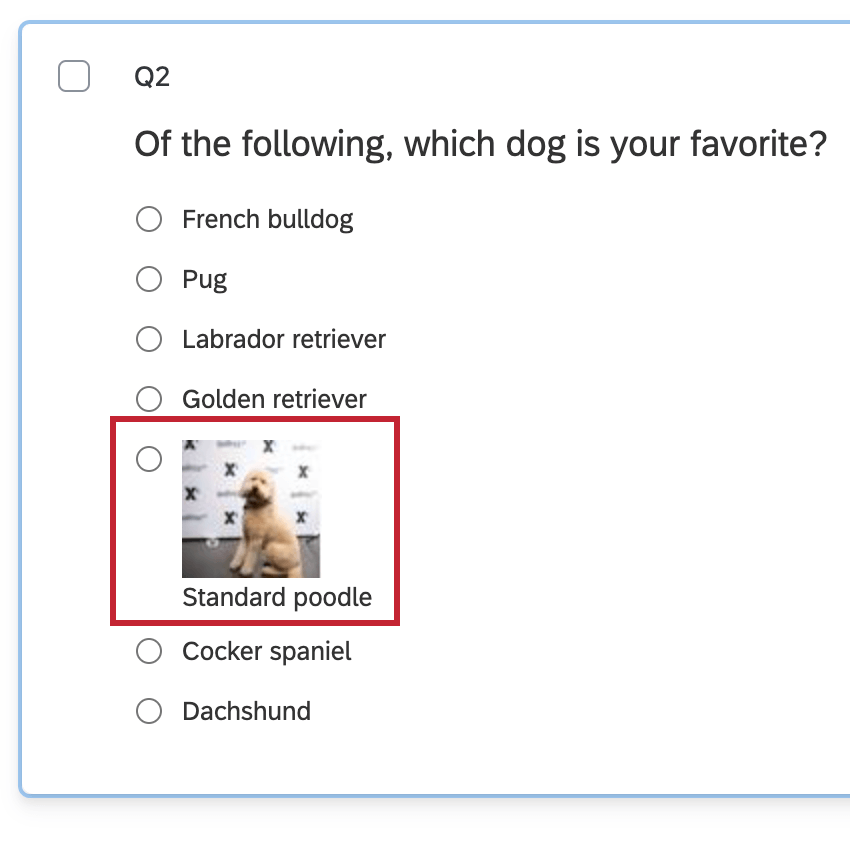 テキスト下部の位置