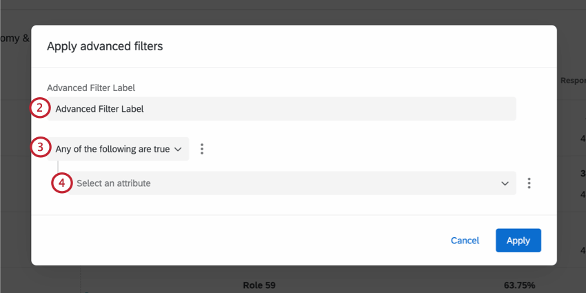 giving the advanced filter a name, and creating the filter conditions