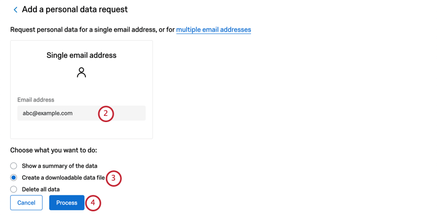 Großes Feld, in das Sie eine E-Mail-Adresse eingeben können. Darunter, Multiple Choice, die erste Option zeigt eine Zusammenfassung an. Dann zwei Schaltflächen. Die blaue Verarbeiten-Schaltfläche ist die zweite