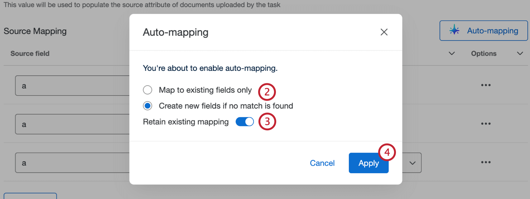 auto-mapping options