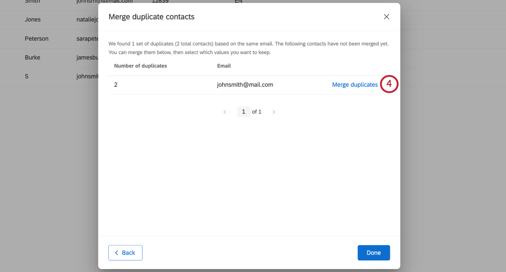 Captura de pantalla de una nueva ventana abierta sobre la lista de distribución que muestra la lista de duplicados identificados