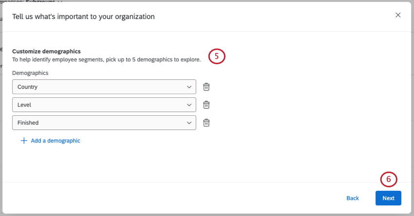 customize demographics - then dropdowns where country and level were selected. trashcan icon next to each demographic. button at bottom that says add a demographic