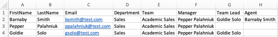 rows and columns of data