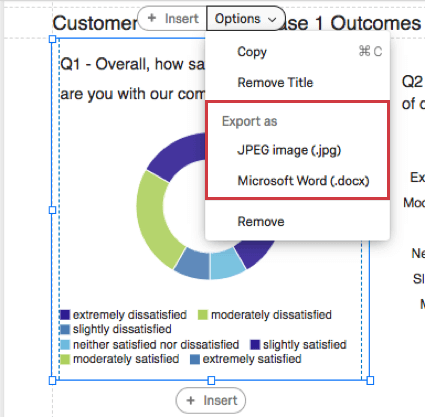 Options button over visualization has export as a doc and export as a jpg options