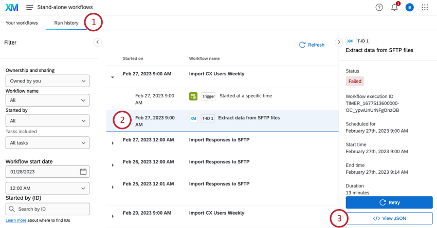 going to run history, selecting a task, and clicking view JSON