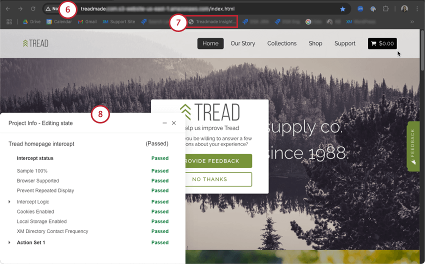 wie Tests auf Ihrer Website in Ihrem Browser erscheinen