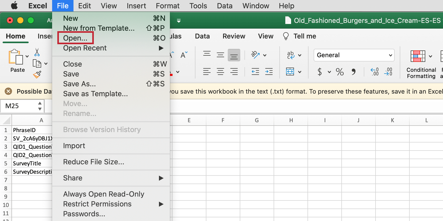 Vai a File e Apri in Excel