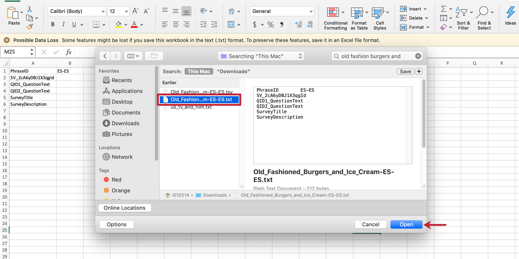 Ouverture dun fichier Excel txt