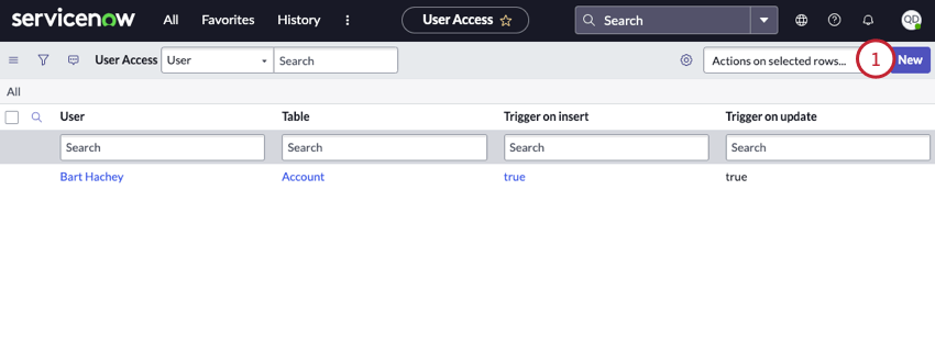 Al hacer clic en nuevo en la sección de acceso a la tabla de usuarios