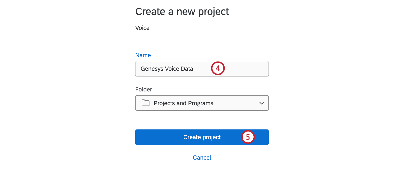 naming and categorizing a voice project