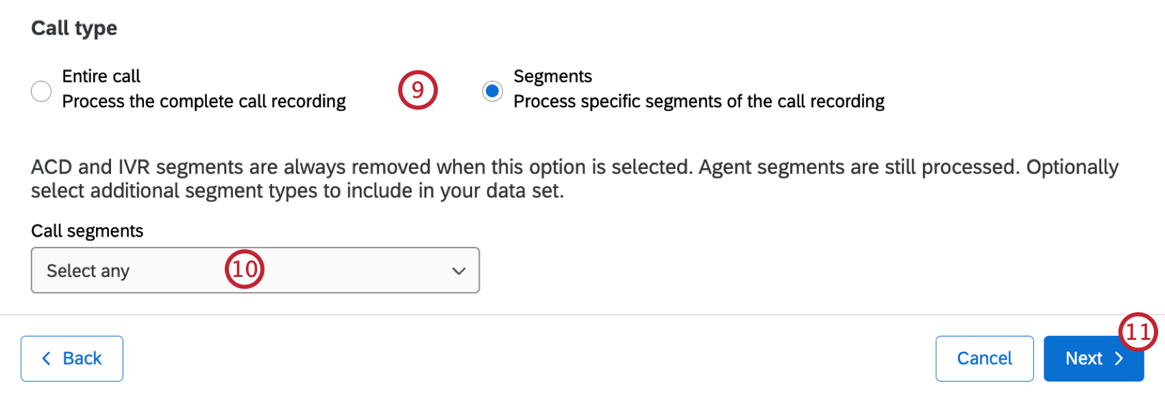 Selecting the call type to import, and a dropdown menu to select what kind of segments to import if segments are selected