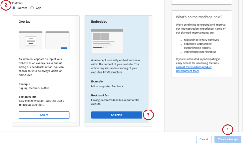 selecting the web embedded option