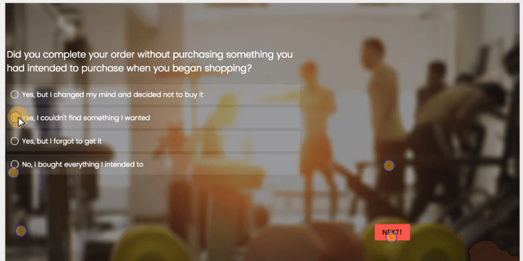 survey example