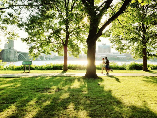 Two people jogging in a park alongside the river on a sunny day.