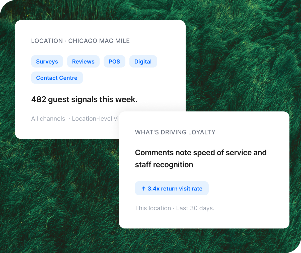 Two dashboard cards showing 482 weekly guest signals for Chicago Mag Mile and loyalty insights highlighting a 3.4x return visit rate.