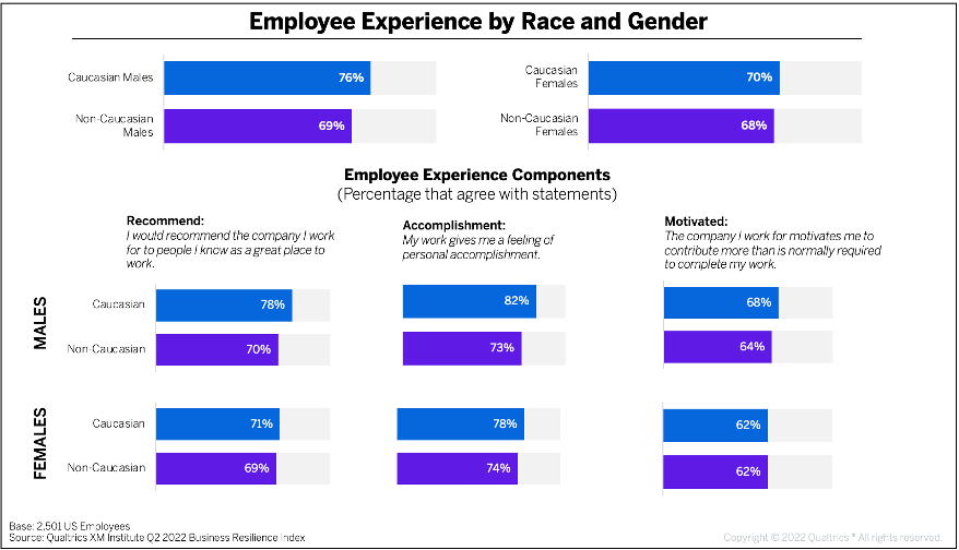 Employee experience by race and gender bar charts.