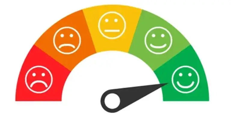 customer satisfaction scale